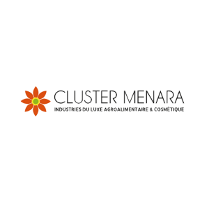 Cluster Menara Start-up.ma